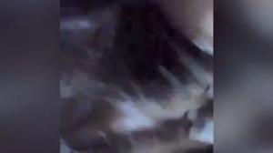 Kesayangan Dari Kampung Mandi